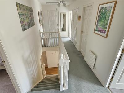 Picture 19